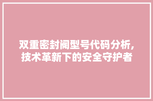 双重密封阀型号代码分析,技术革新下的安全守护者