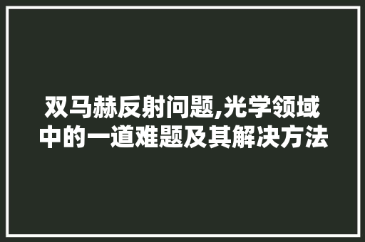 双马赫反射问题,光学领域中的一道难题及其解决方法