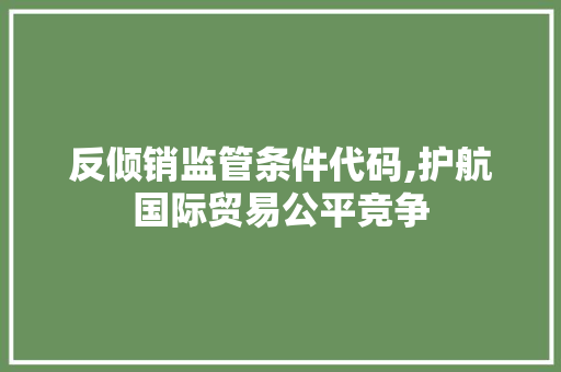 反倾销监管条件代码,护航国际贸易公平竞争