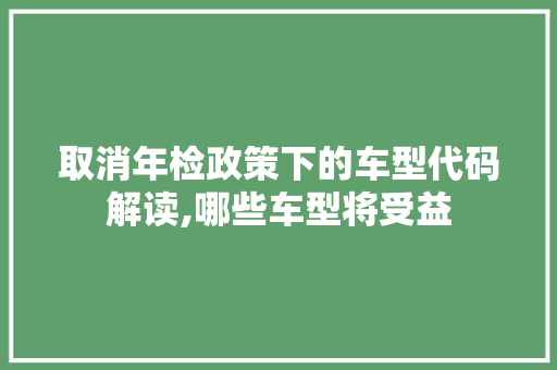 取消年检政策下的车型代码解读,哪些车型将受益