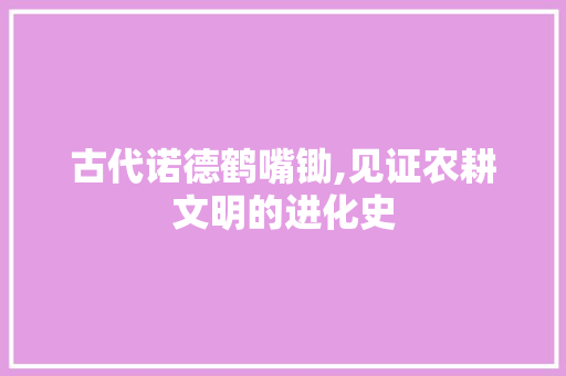 古代诺德鹤嘴锄,见证农耕文明的进化史