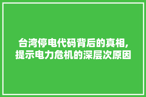 台湾停电代码背后的真相,提示电力危机的深层次原因