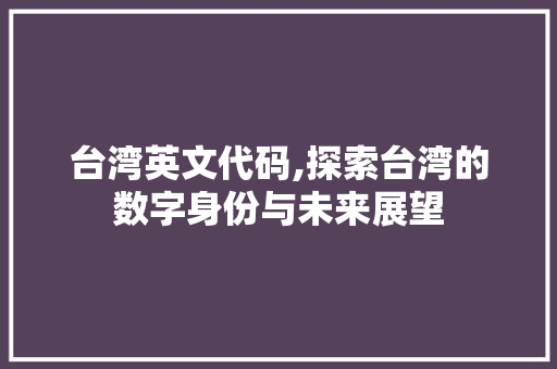 台湾英文代码,探索台湾的数字身份与未来展望