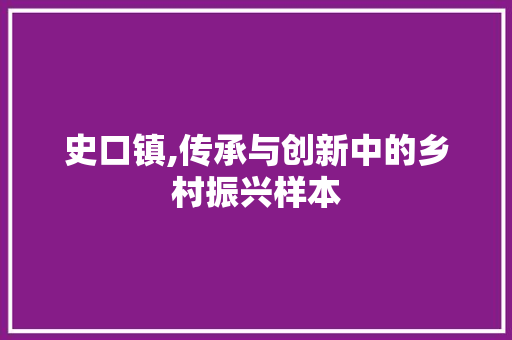 史口镇,传承与创新中的乡村振兴样本