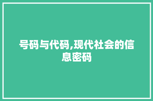 号码与代码,现代社会的信息密码