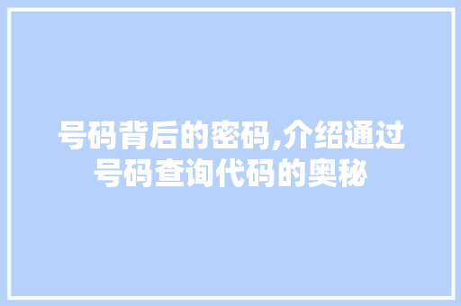 号码背后的密码,介绍通过号码查询代码的奥秘