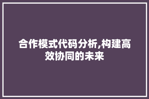 合作模式代码分析,构建高效协同的未来