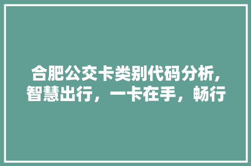 合肥公交卡类别代码分析,智慧出行，一卡在手，畅行无忧