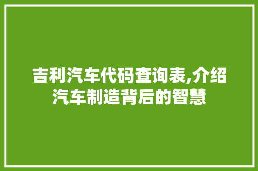 吉利汽车代码查询表,介绍汽车制造背后的智慧