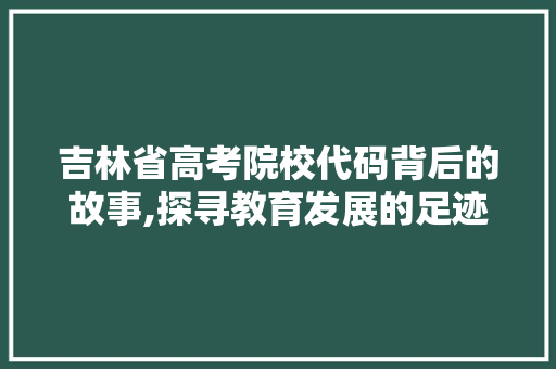 吉林省高考院校代码背后的故事,探寻教育发展的足迹