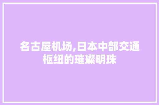 名古屋机场,日本中部交通枢纽的璀璨明珠