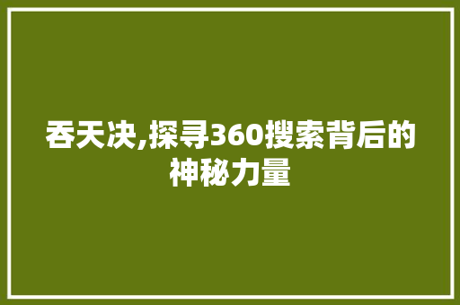 吞天决,探寻360搜索背后的神秘力量