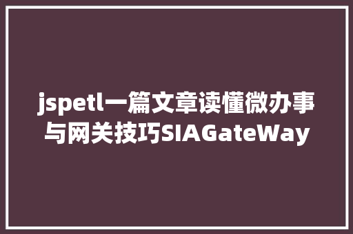 jspetl一篇文章读懂微办事与网关技巧SIAGateWay