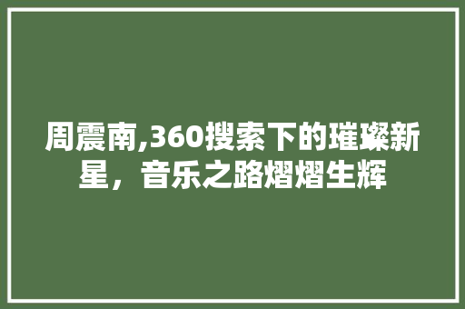 周震南,360搜索下的璀璨新星，音乐之路熠熠生辉