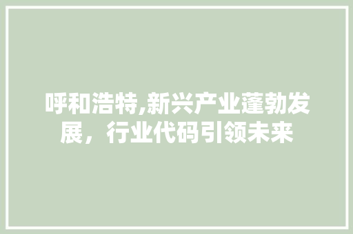 呼和浩特,新兴产业蓬勃发展，行业代码引领未来