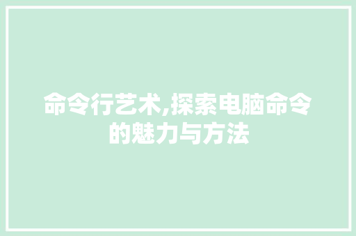 命令行艺术,探索电脑命令的魅力与方法