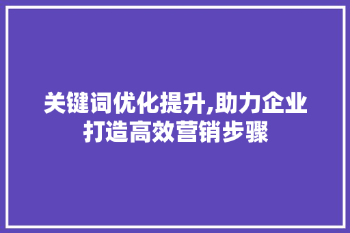 关键词优化提升,助力企业打造高效营销步骤