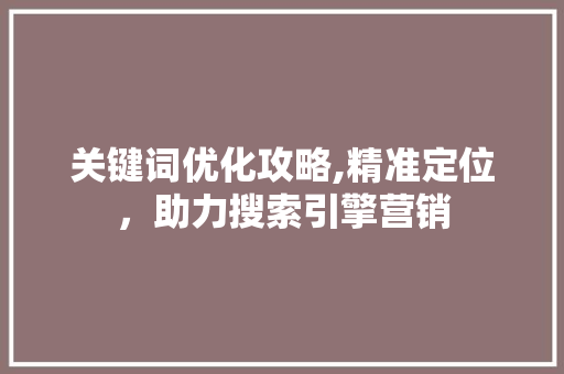 关键词优化攻略,精准定位，助力搜索引擎营销