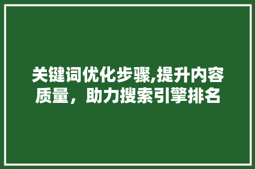 关键词优化步骤,提升内容质量，助力搜索引擎排名