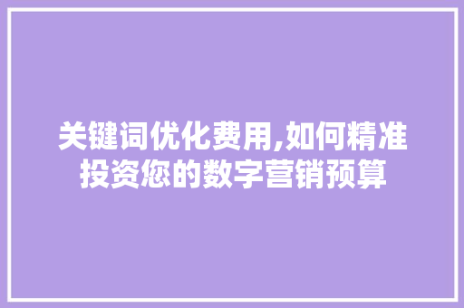 关键词优化费用,如何精准投资您的数字营销预算