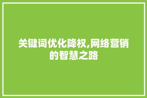 关键词优化降权,网络营销的智慧之路