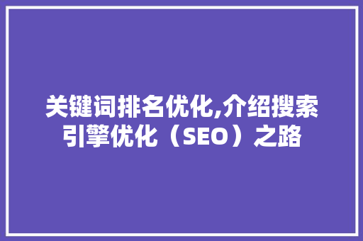 关键词排名优化,介绍搜索引擎优化（SEO）之路