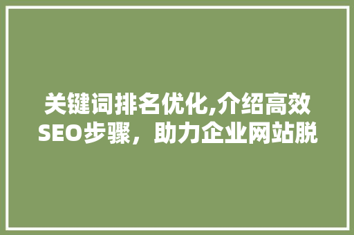 关键词排名优化,介绍高效SEO步骤，助力企业网站脱颖而出