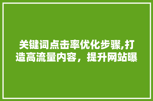 关键词点击率优化步骤,打造高流量内容，提升网站曝光度