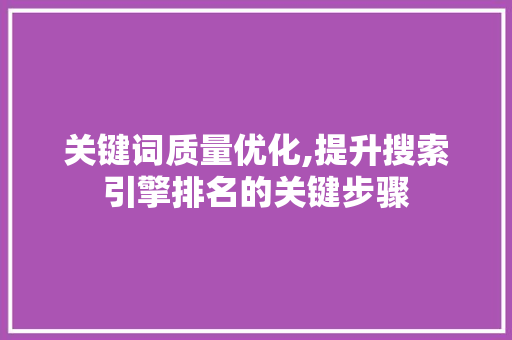 关键词质量优化,提升搜索引擎排名的关键步骤