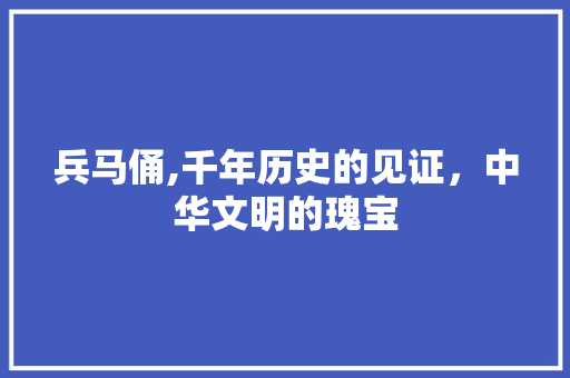 兵马俑,千年历史的见证，中华文明的瑰宝