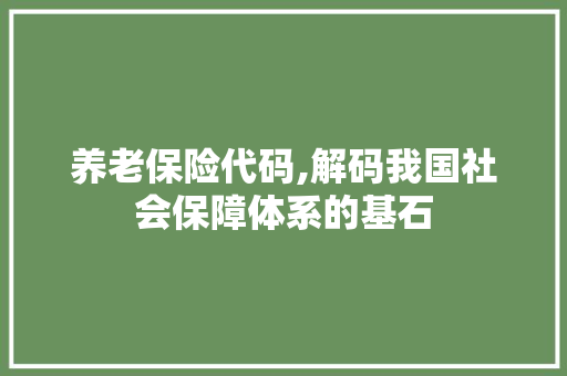 养老保险代码,解码我国社会保障体系的基石