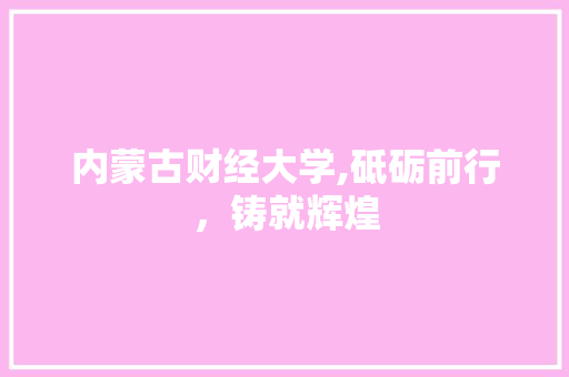 内蒙古财经大学,砥砺前行，铸就辉煌