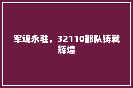 军魂永驻，32110部队铸就辉煌