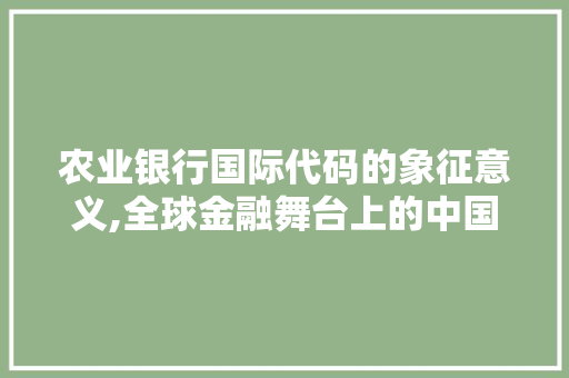 农业银行国际代码的象征意义,全球金融舞台上的中国力量