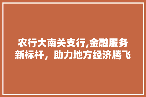 农行大南关支行,金融服务新标杆，助力地方经济腾飞