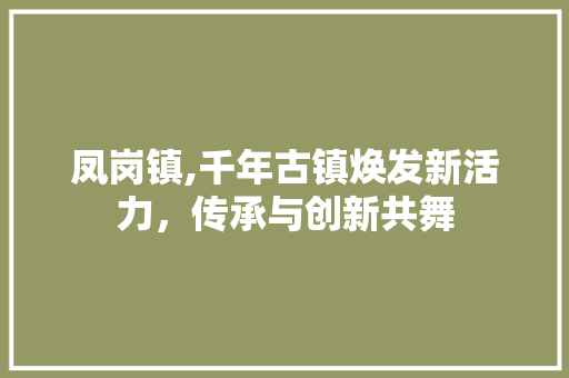 凤岗镇,千年古镇焕发新活力，传承与创新共舞