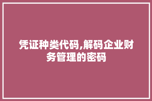 凭证种类代码,解码企业财务管理的密码