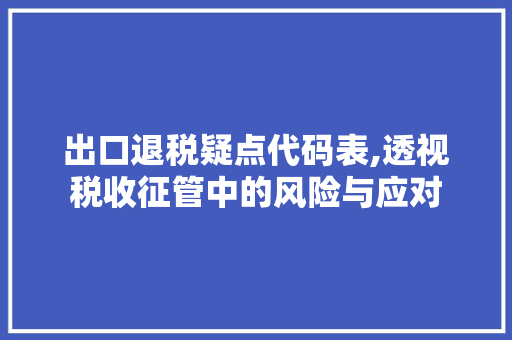 出口退税疑点代码表,透视税收征管中的风险与应对