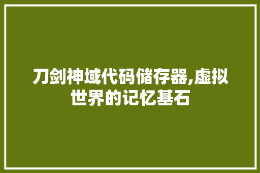 刀剑神域代码储存器,虚拟世界的记忆基石