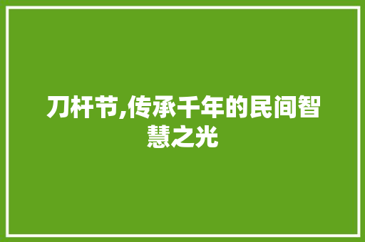 刀杆节,传承千年的民间智慧之光