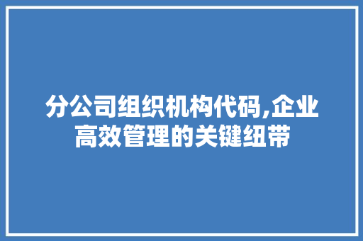 分公司组织机构代码,企业高效管理的关键纽带