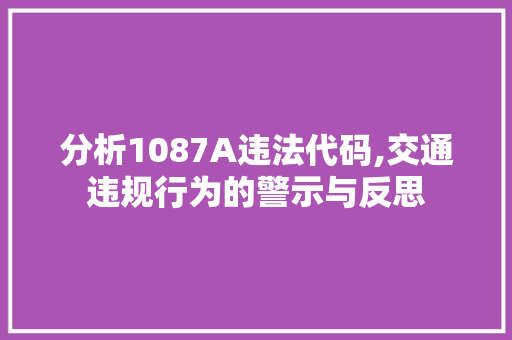 分析1087A违法代码,交通违规行为的警示与反思