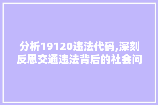 分析19120违法代码,深刻反思交通违法背后的社会问题