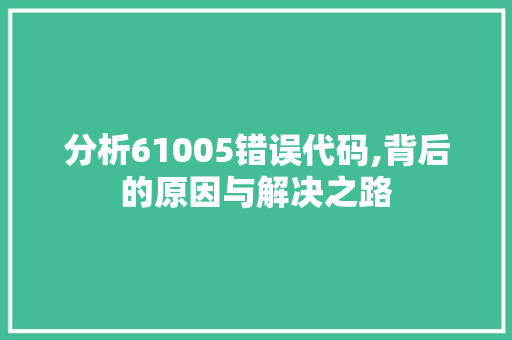 分析61005错误代码,背后的原因与解决之路