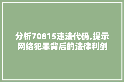 分析70815违法代码,提示网络犯罪背后的法律利剑