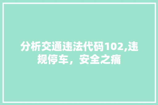 分析交通违法代码102,违规停车，安全之痛