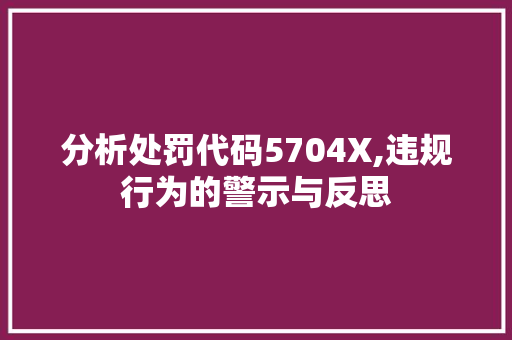 分析处罚代码5704X,违规行为的警示与反思