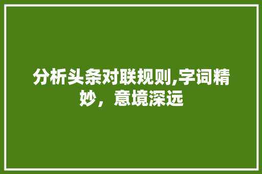 分析头条对联规则,字词精妙，意境深远