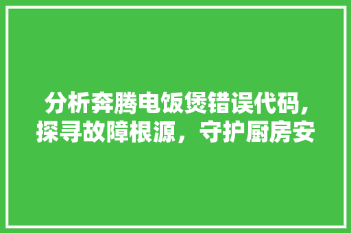 分析奔腾电饭煲错误代码,探寻故障根源，守护厨房安全