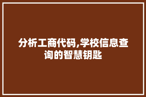 分析工商代码,学校信息查询的智慧钥匙